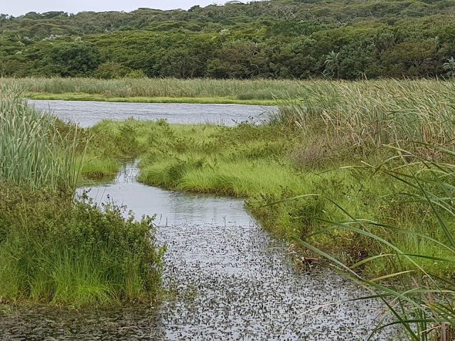 Bluff Nature Reserve